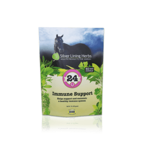 Silver Lining Herbs - Immune Support #24