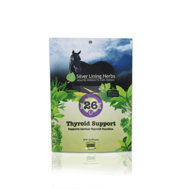A Silver Lining Herbs Thyroid Support Front Pack