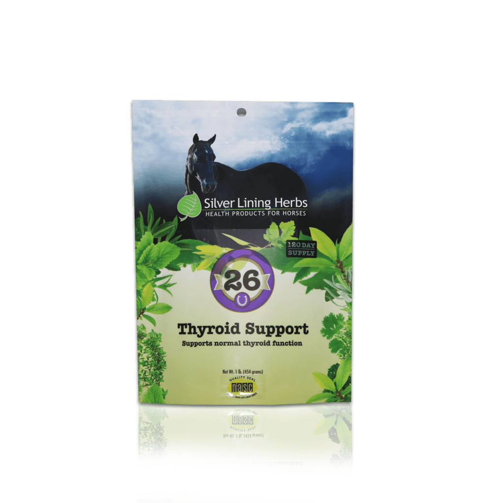 A Silver Lining Herbs Thyroid Support Front Pack