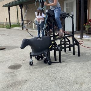 7K Something Horse & Calf Sled Complete Powered Package