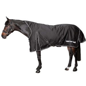 A Brown Horse in a Black Turnout Rug