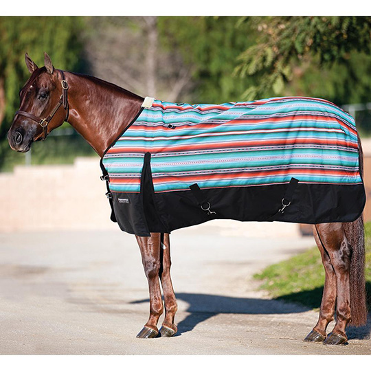 A Brown Color Horse in a Blue and Pink Stripes Turnout Blanket
