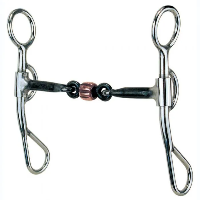 A Stainless Steel Piece Argentina Saddle Tack