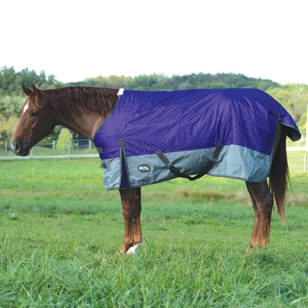 Premium Turnout Blanket, 1,200-denier - 35-1586