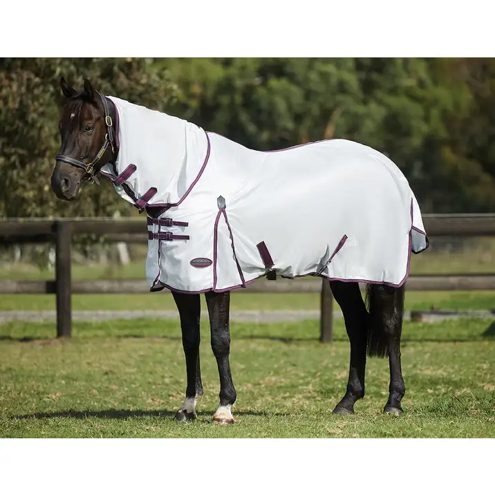 horse fly sheet with neck canada