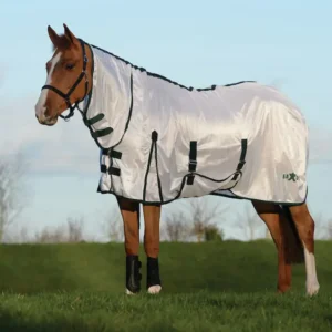 horse fly sheet with nack and belly strap canada