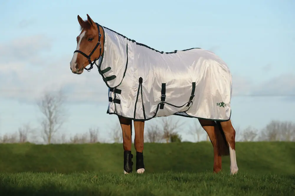 horse fly sheet with nack and belly strap canada