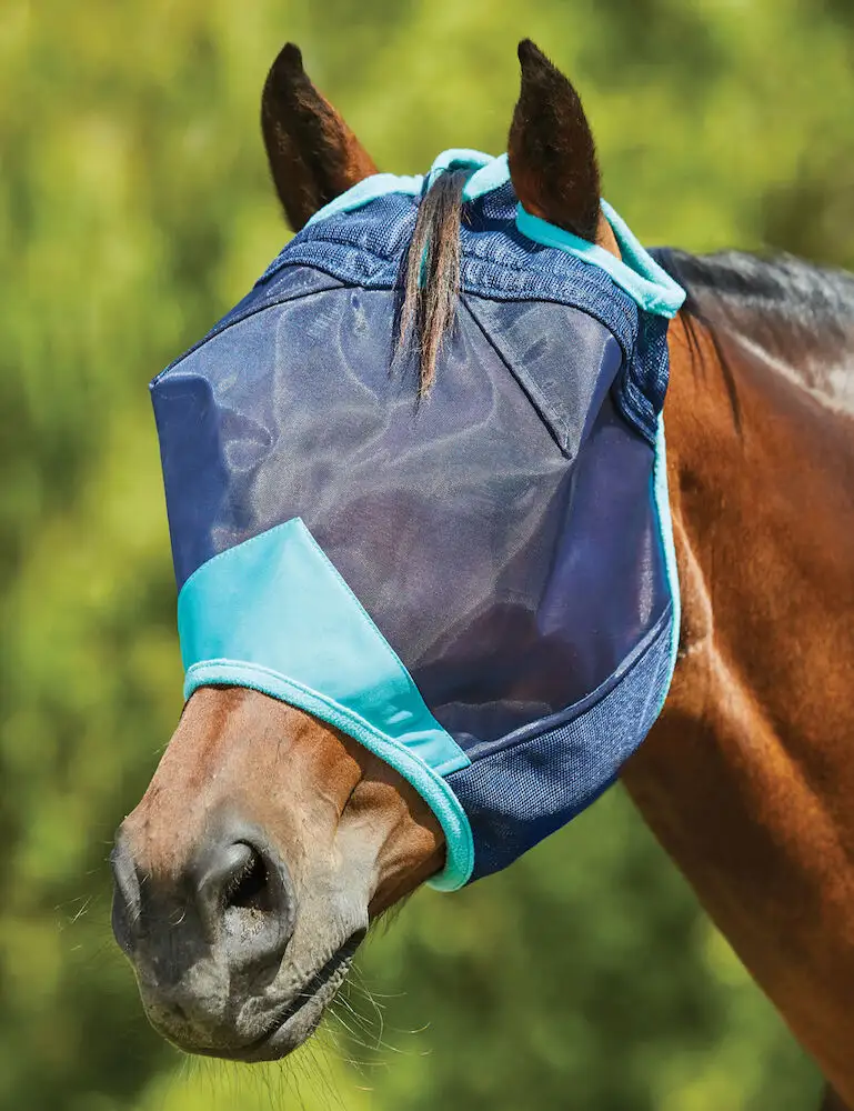 horse fly mask canada