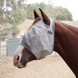 A horse wearing a fly mask on its face.