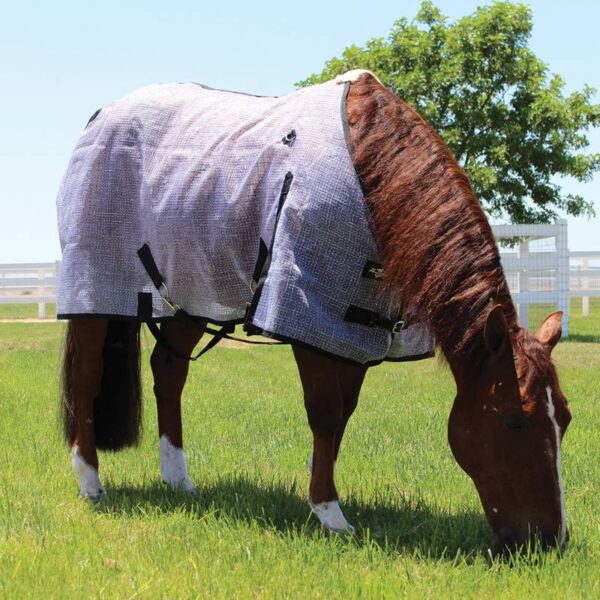 HORSE FLY SHEET CANADA