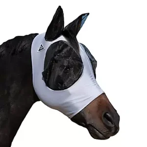 A horse wearing a white bandage on its face.
