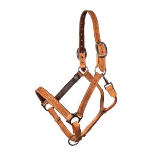 leather halter