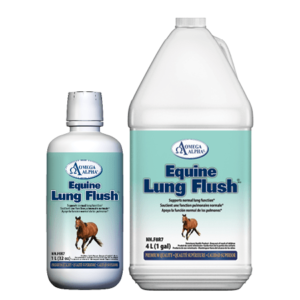 Horse Lung Flush
