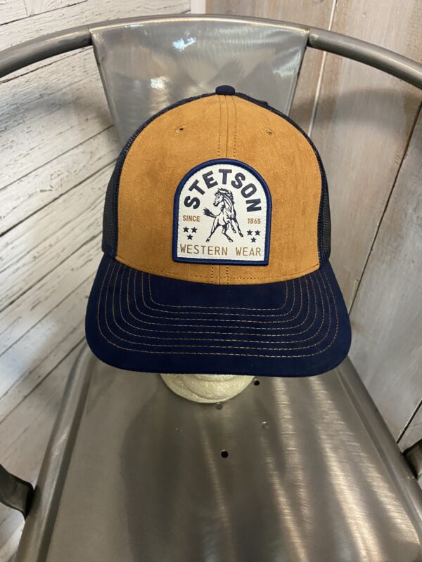 Stetson Ball Cap 21577884