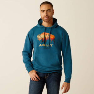 Bison Plains Hoodie