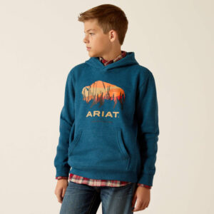 Bison Plains Hoodie 10052394