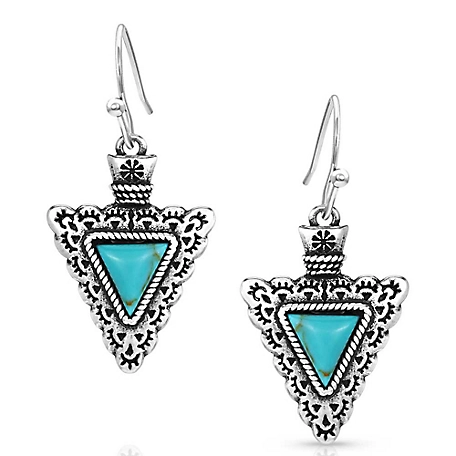 Established Strength Turquoise Earrings ER5291