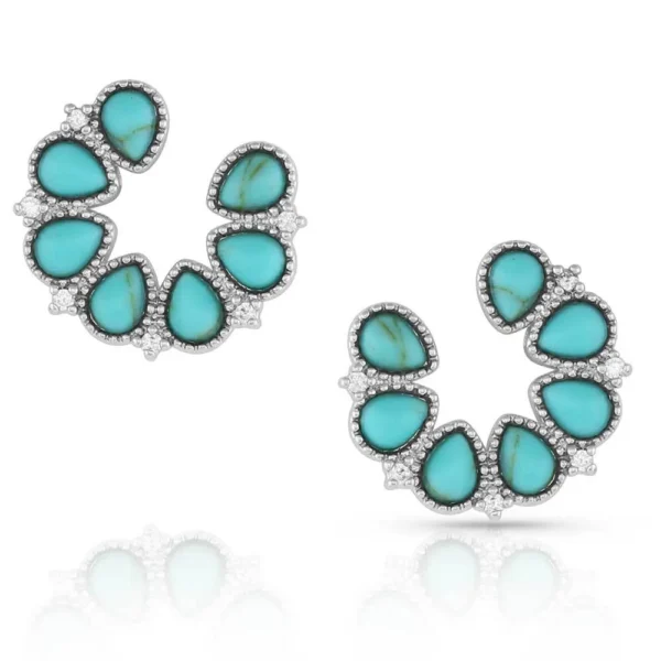 Lucky Turquoise Earnings ER5291