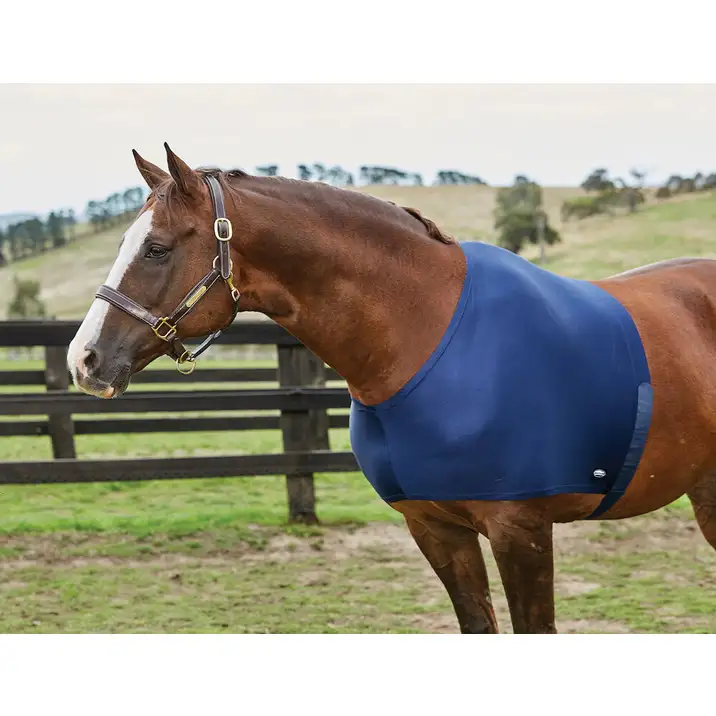 horse stretch shoulder guard