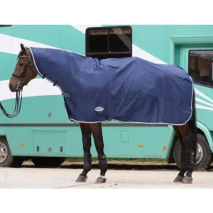 A horse is standing in front of a blue trailer.