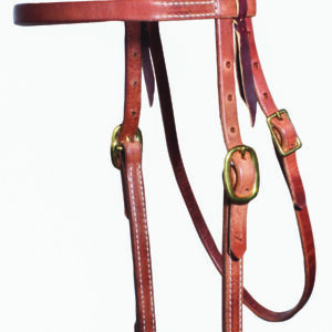 A close up of the bridle on a horse