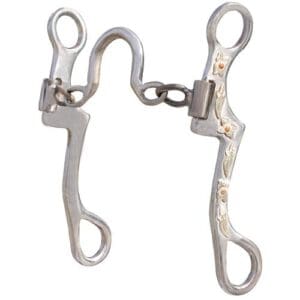 A pair of metal horse bit with chains attached to it.