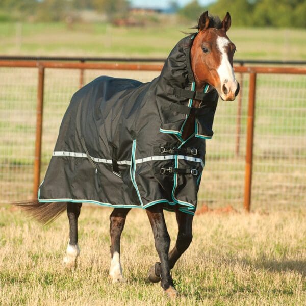Classic Equine Waterproof Windbreaker Sheet With Hood - CR/CXS