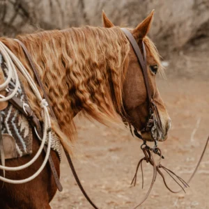 split ear leather headstall