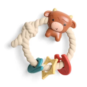 Ritzy Rattle™ Silicone Teether Rattles