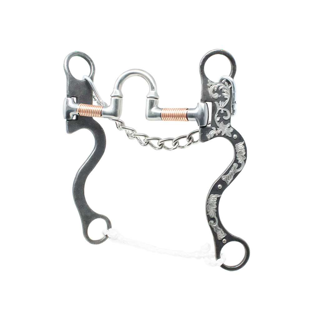 Walt Woodard Correction