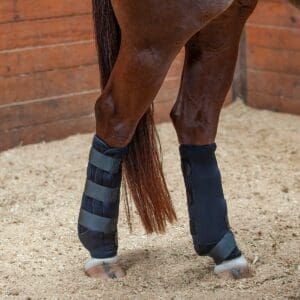 ice boots for horses legs