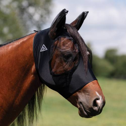 Lycra fly mask pony and oversizes sizes canada