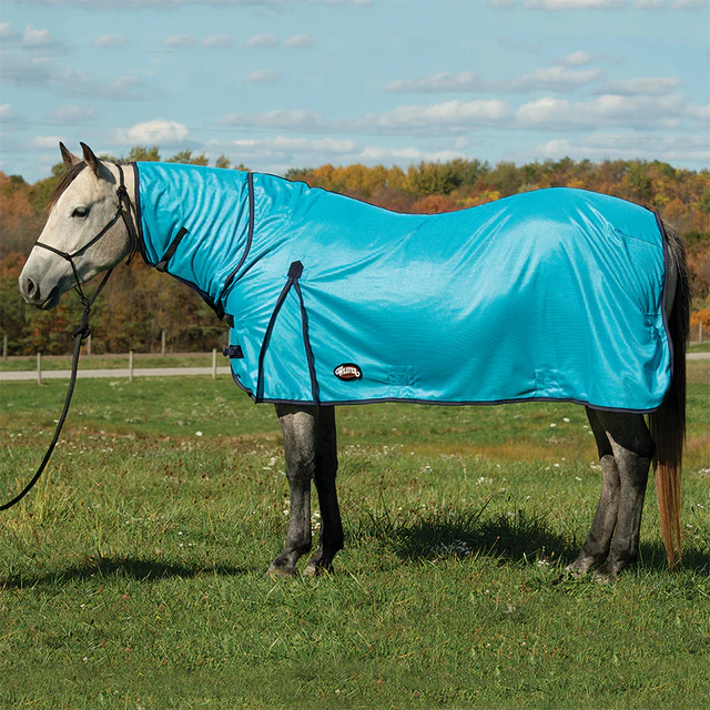 FLY SHEET 37720