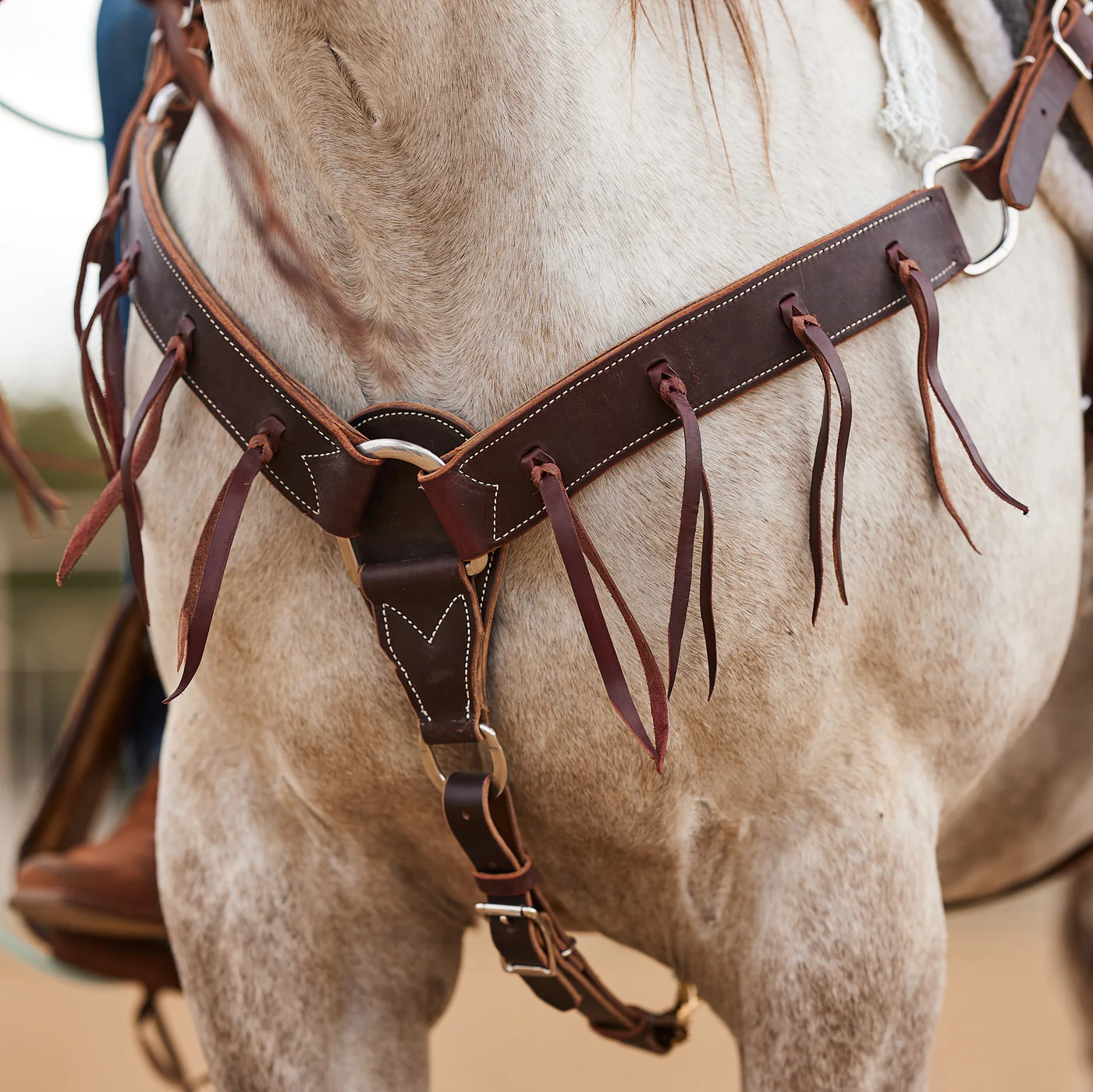BREASTCOLLAR 2" CHOCOLATE HARNESS LEATHER WITH LATIGO STRINGS - BC2CHC - Image 3