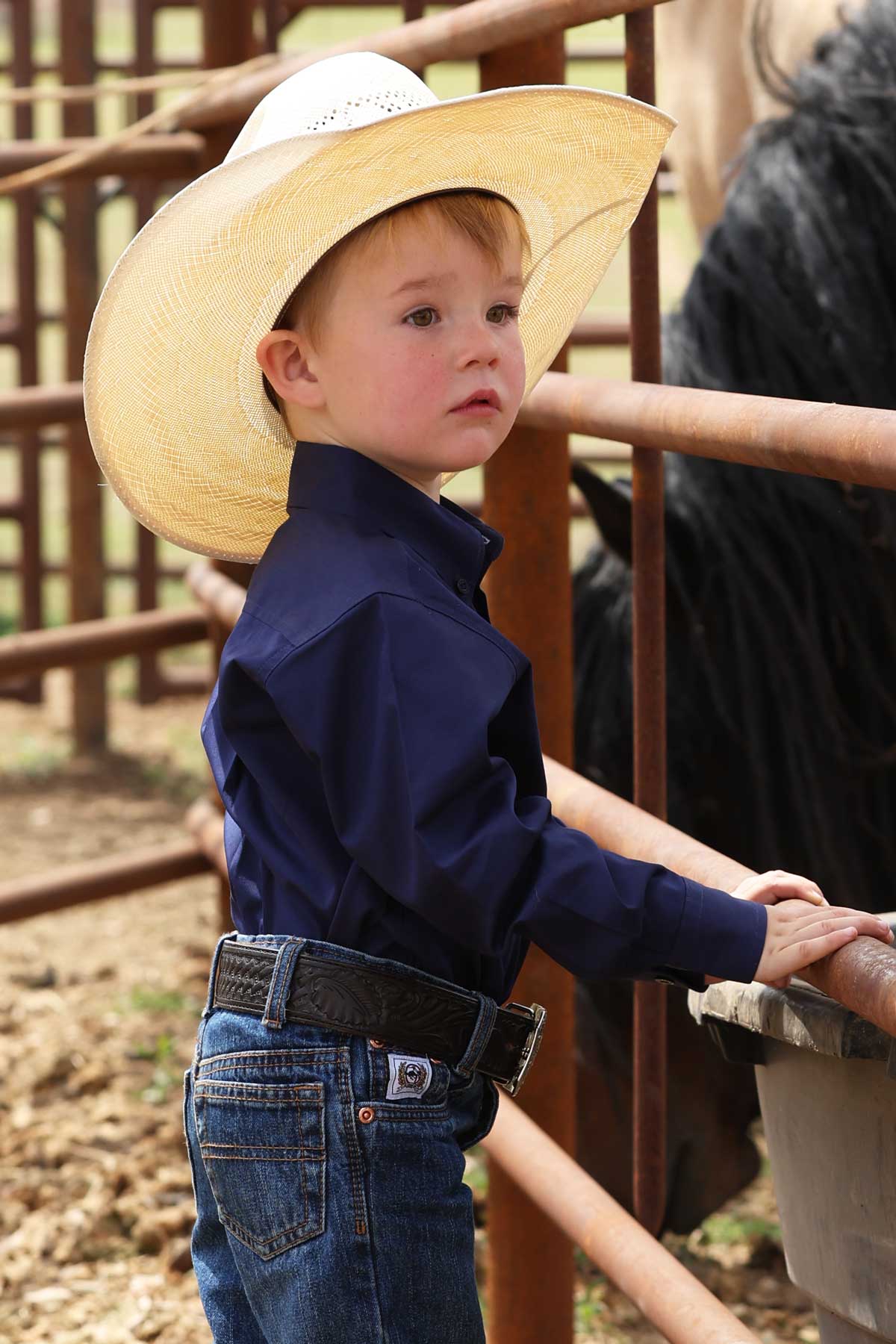 blue solid cinch shirt